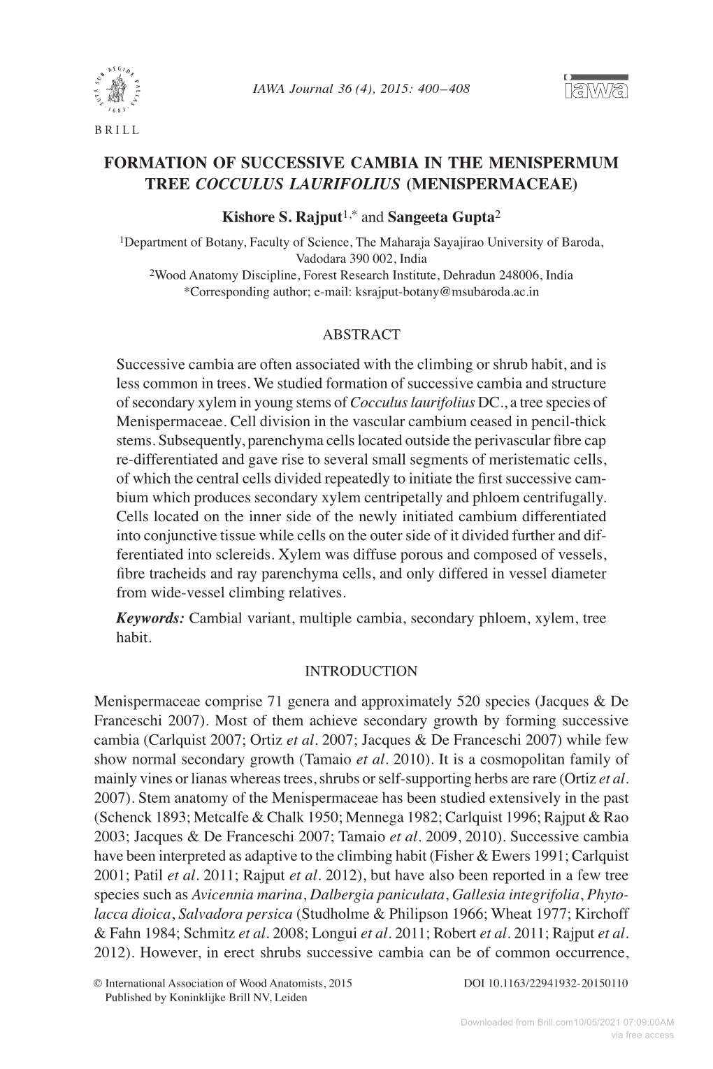 FORMATION of SUCCESSIVE CAMBIA in the MENISPERMUM TREE COCCULUS LAURIFOLIUS (MENISPERMACEAE) Kishore S. Rajput1,* and Sangeeta