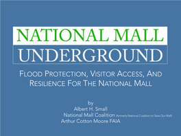 Flood Protection, Visitor Access, and Resilience for the National Mall