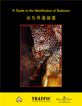 A Guide to the Identification of Seahorses (Chinese Edition) (PDF)