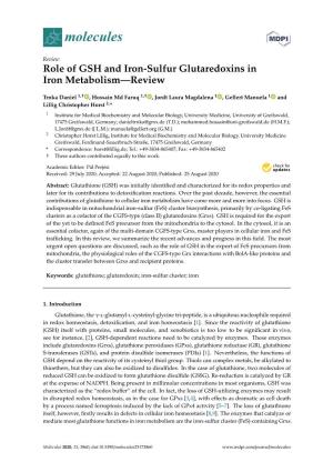 Role of GSH and Iron-Sulfur Glutaredoxins in Iron Metabolism—Review