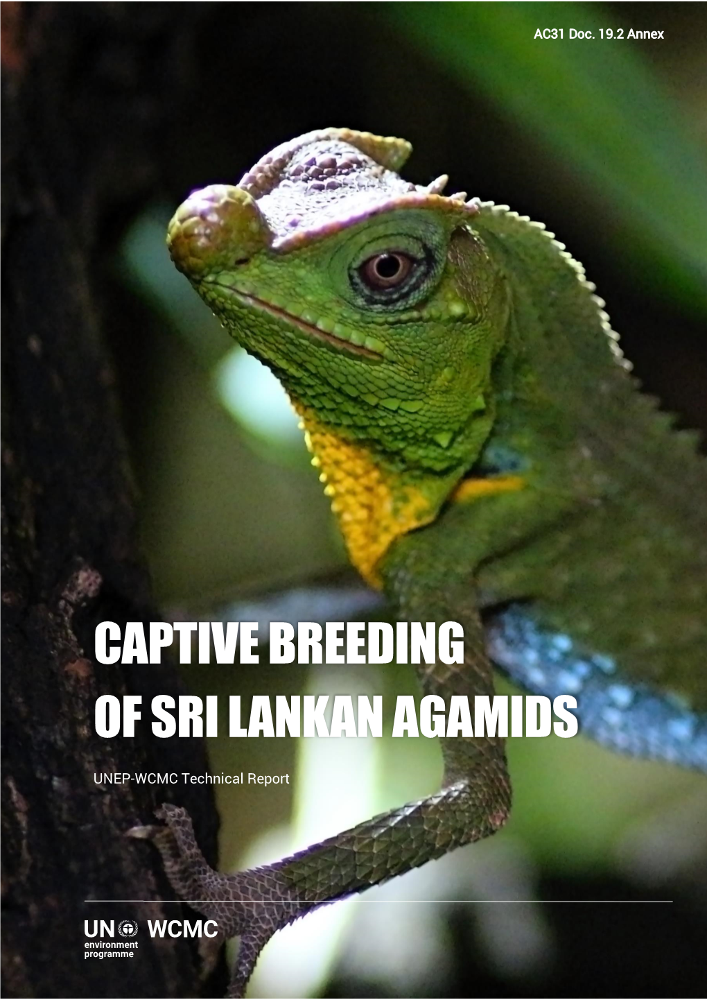 Captive Breeding of Sri Lankan Agamids