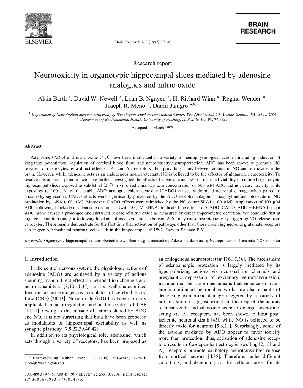 Neurotoxicity in Organotypic Hippocampal Slices Mediated by Adenosine Analogues and Nitric Oxide