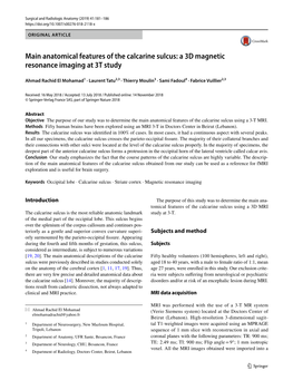 Main Anatomical Features of the Calcarine Sulcus: a 3D Magnetic Resonance Imaging at 3T Study