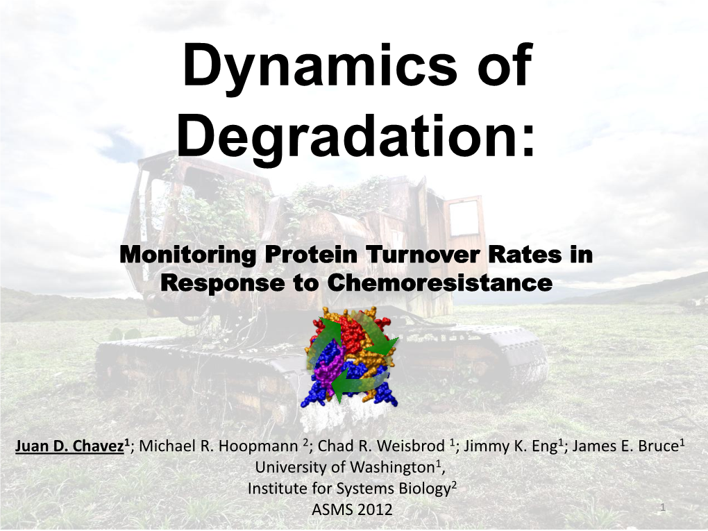 Dynamics of Degradation: Monitoring Changes in Protein