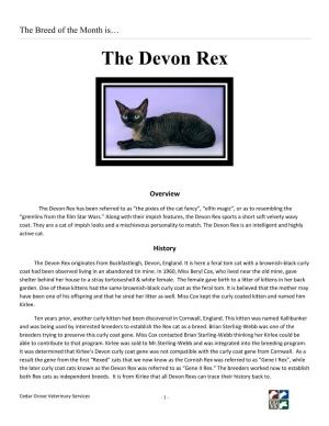 The Devon Rex