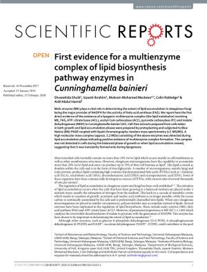 First Evidence for a Multienzyme Complex of Lipid Biosynthesis