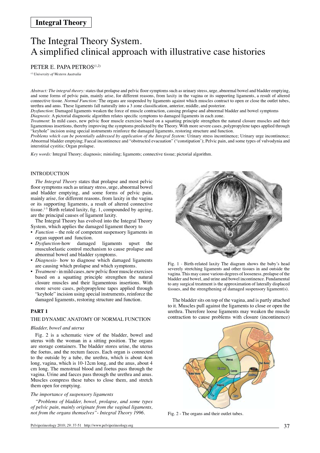 The Integral Theory System. a Simplified Clinical Approach with Illustrative Case Histories