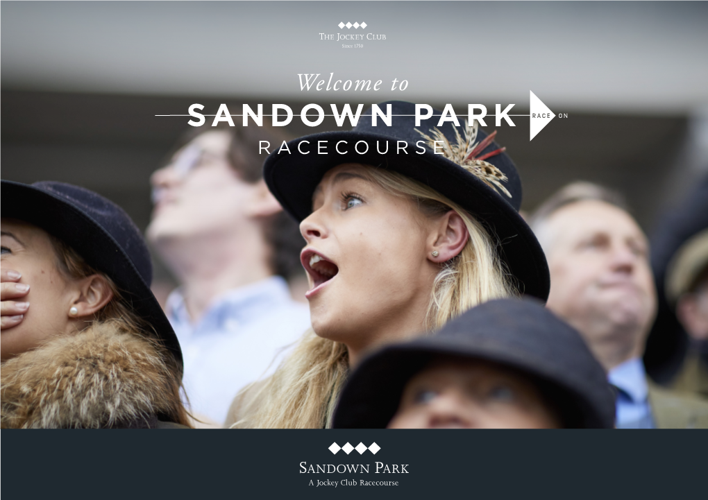 Sandown Park Racecourse Get Your Tickets Sent Direct to Let’S Get Social Your Phone