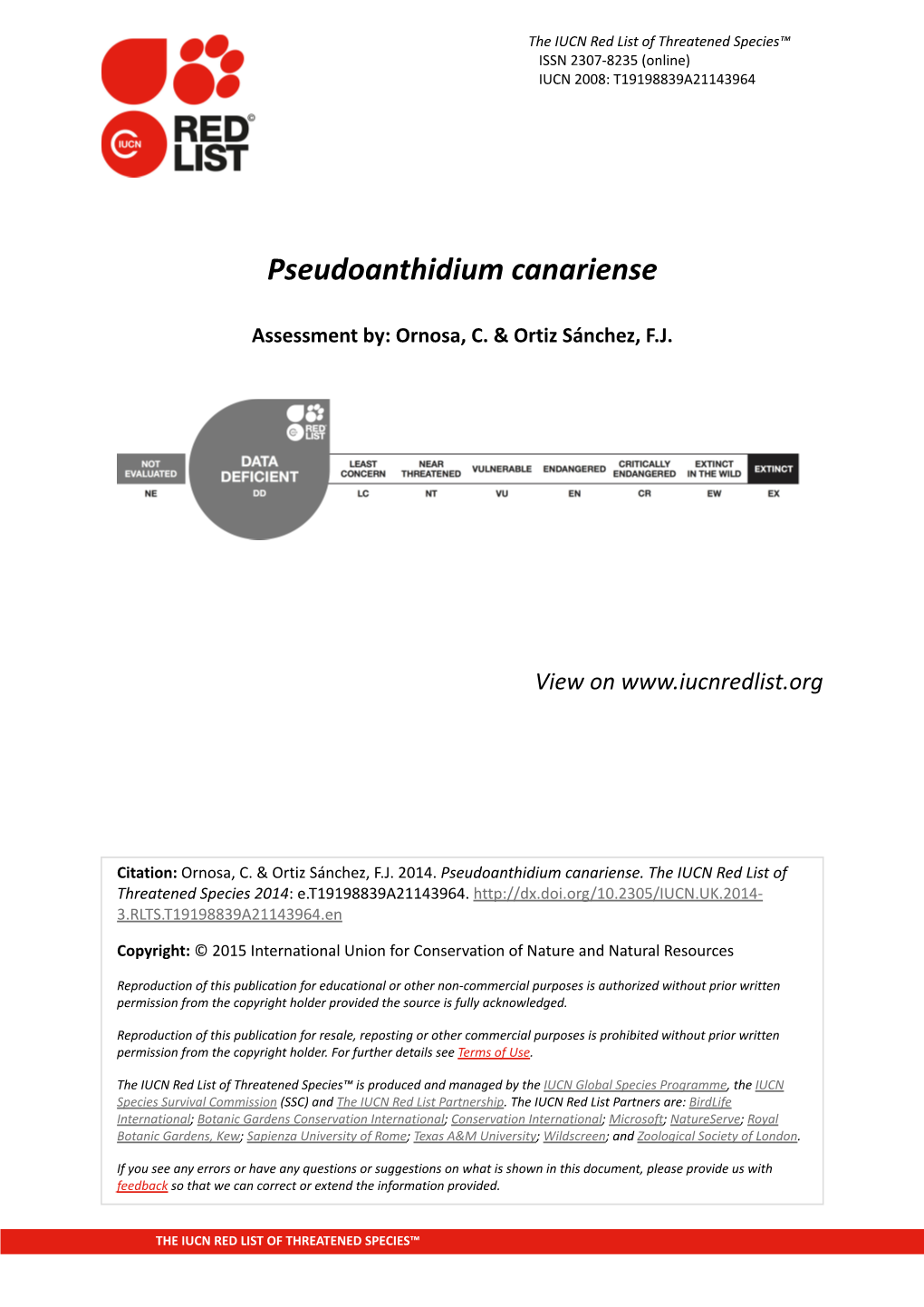 Pseudoanthidium Canariense