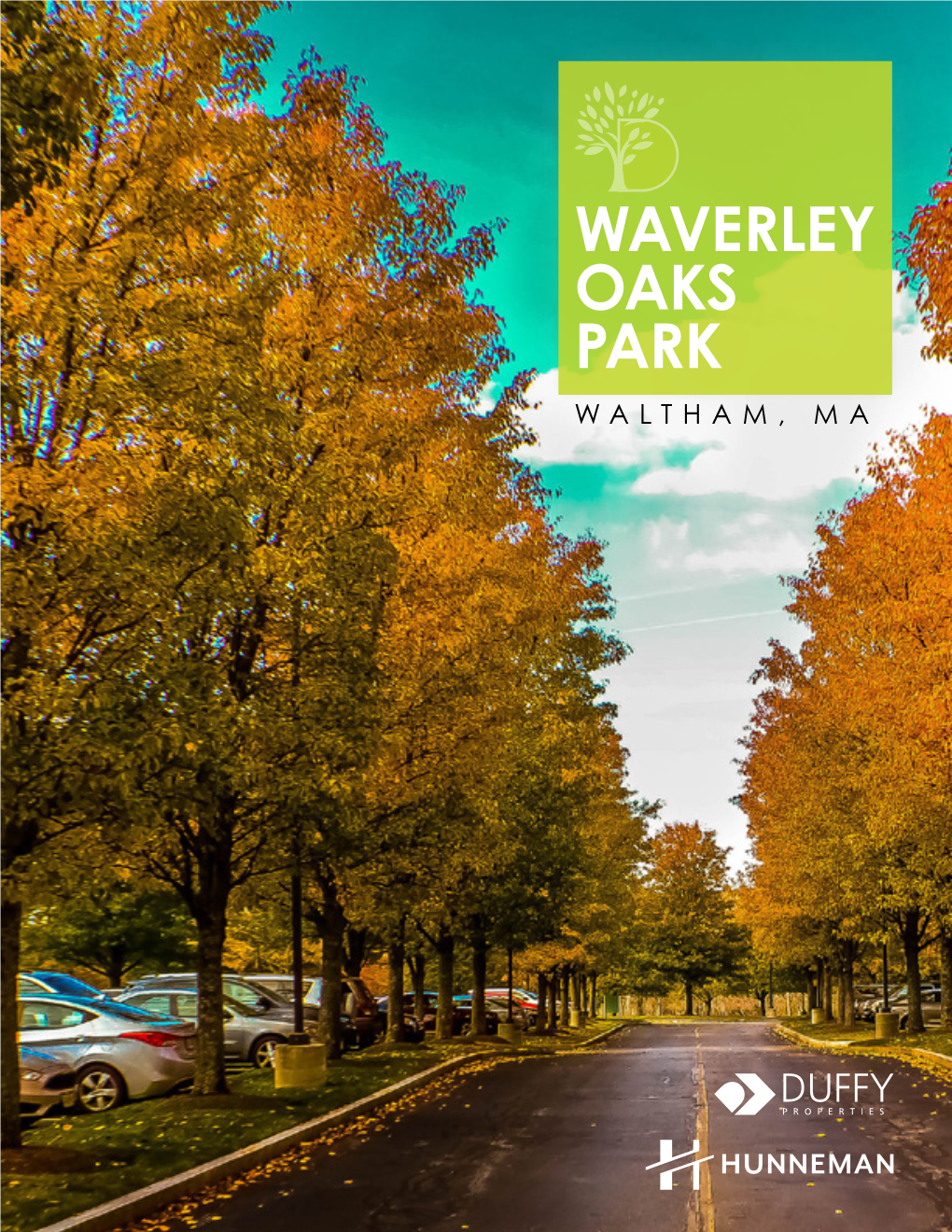 Waverley Oaks Park Waltham, Ma Waverley Oaks Park Waltham, Ma
