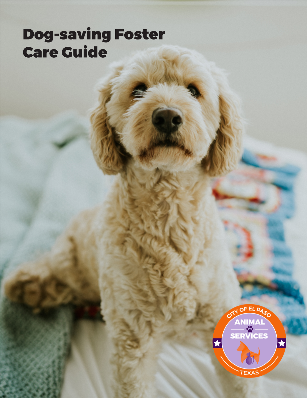 Foster Dog Guide-2019