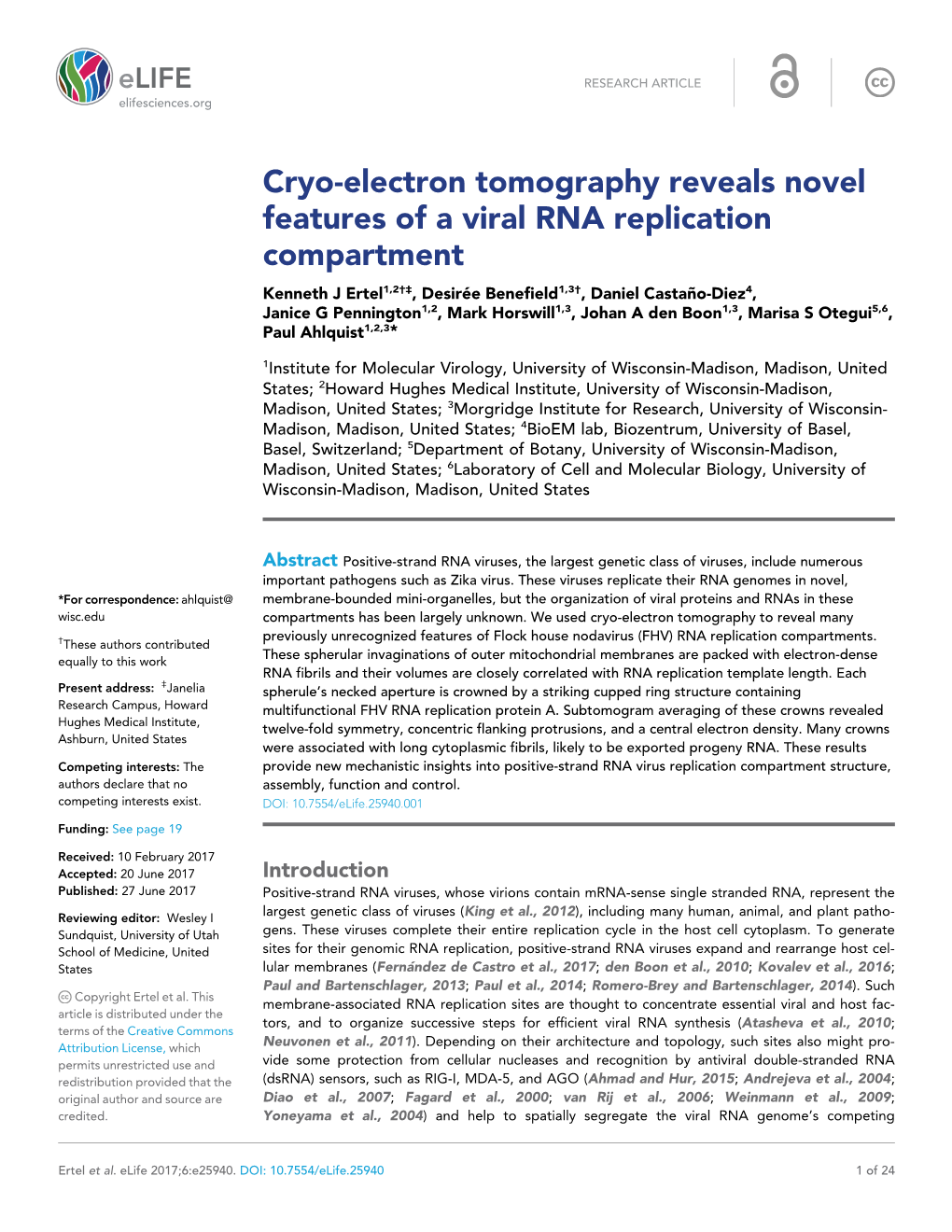 Cryo-Electron Tomography Reveals Novel Features of a Viral RNA