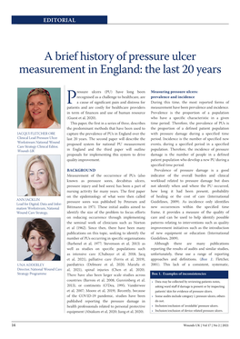 A Brief History of Pressure Ulcer Measurement in England: the Last 20 Years