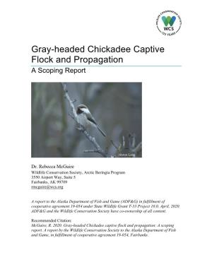 Gray-Headed Chickadee Captive Flock and Propagation a Scoping Report