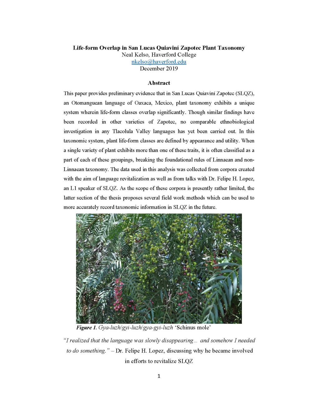 Life-Form Overlap in San Lucas Quiavini Zapotec Plant Taxonomy Neal Kelso, Haverford College Nkelso@Haverford.Edu December 2019