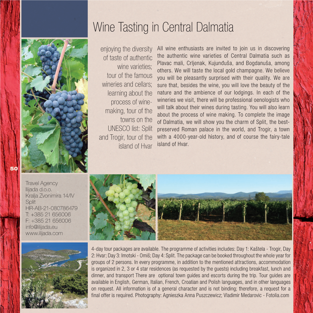 Wine Tasting in Central Dalmatia
