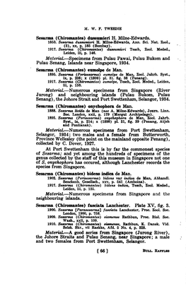 Sesarma (Chiromantes) Dussumieri H. Milne-Edwards. Material.—Specimens from Pulau Pawai, Pulau Bukom and Pulau Senang, Islands