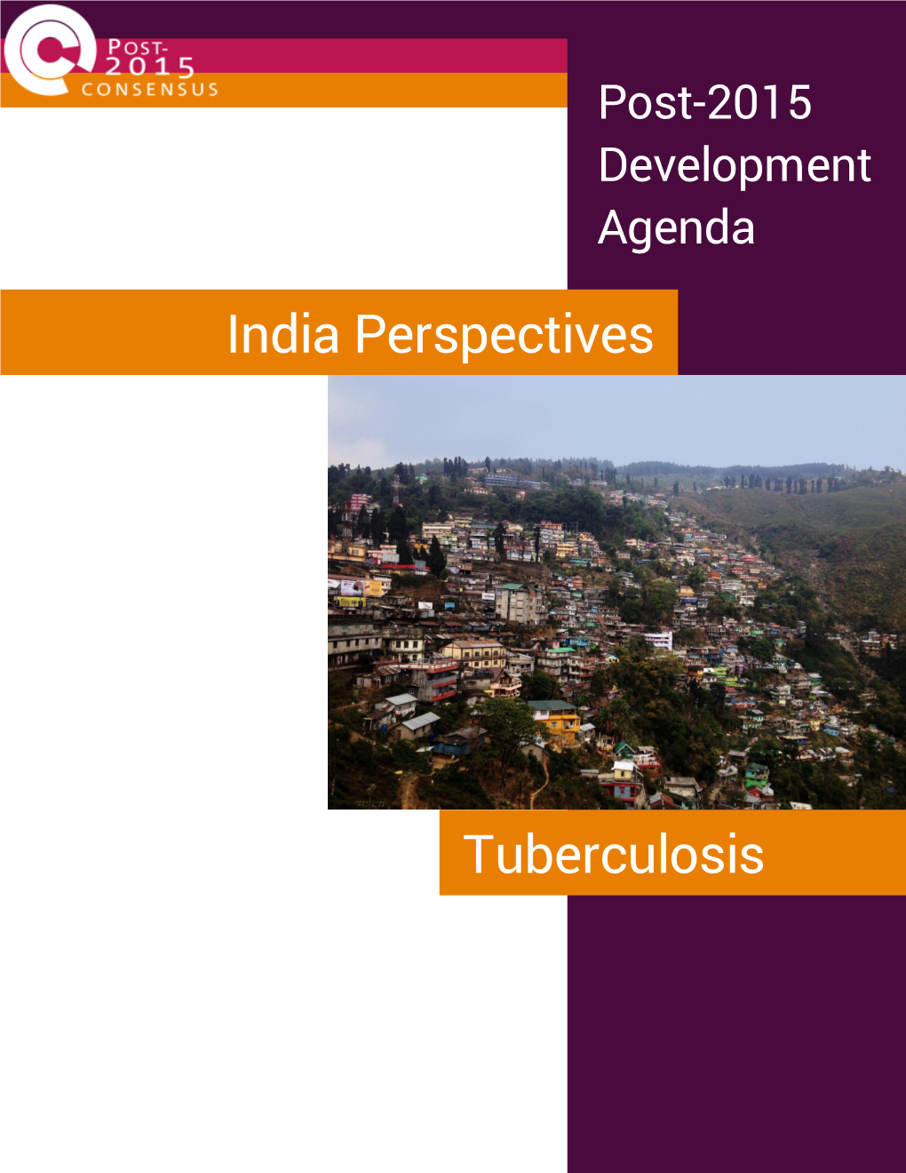 India Perspectives Tuberculosis