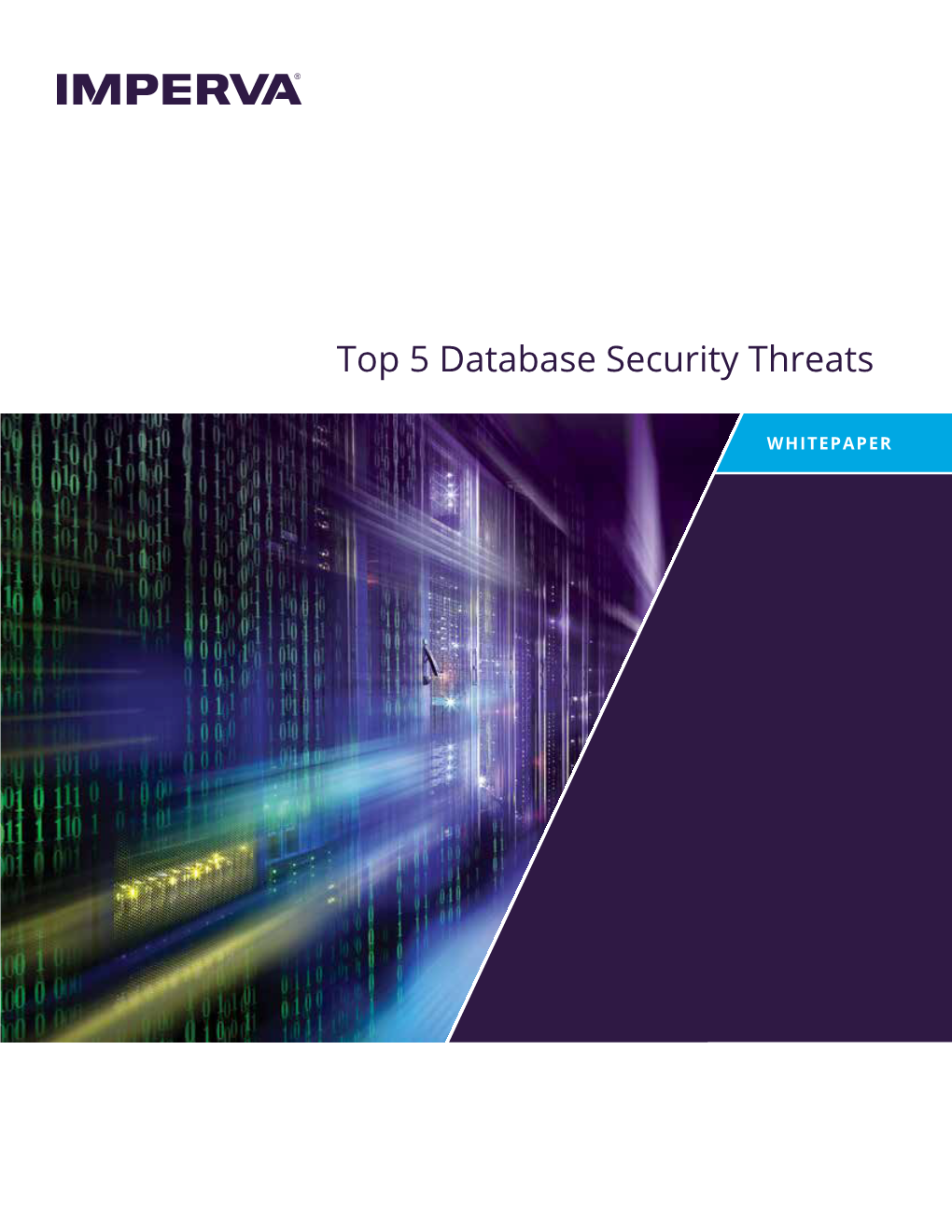 Top 5 Database Security Threats