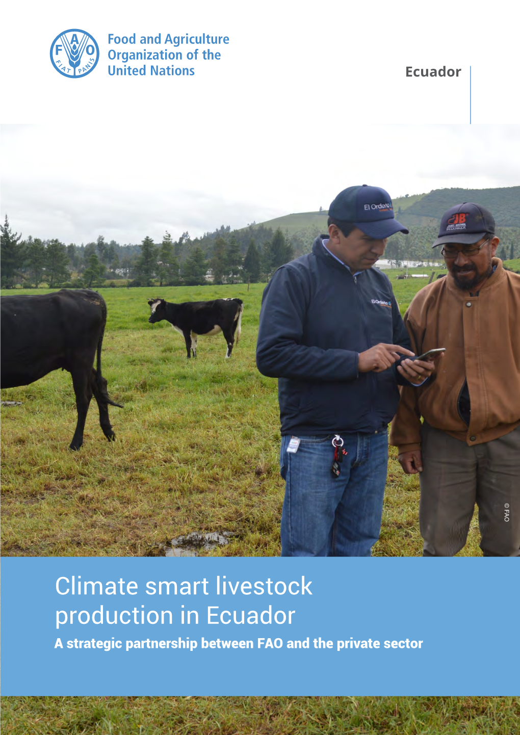 Climate Smart Livestock Production in Ecuador a Strategic Partnership Between FAO and the Private Sector