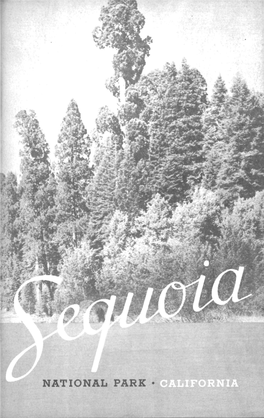 National Park • Sequoia