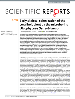 Early Skeletal Colonization of the Coral Holobiont by the Microboring Ulvophyceae Ostreobium Sp