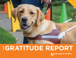 Gratitude Report FY 2020 (PDF)