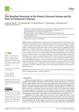 The Baseline Structure of the Enteric Nervous System and Its Role in Parkinson’S Disease