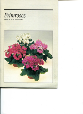 Primroses Volume 55, No
