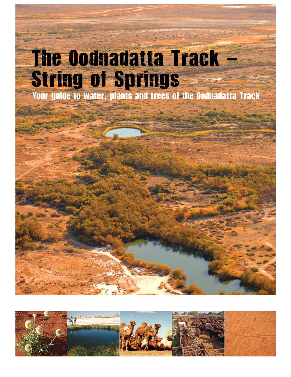 The Oodnadatta Track - String of Springs Your Guide to Water, Plants and Trees of the Oodnadatta Track the Oodnadatta Track