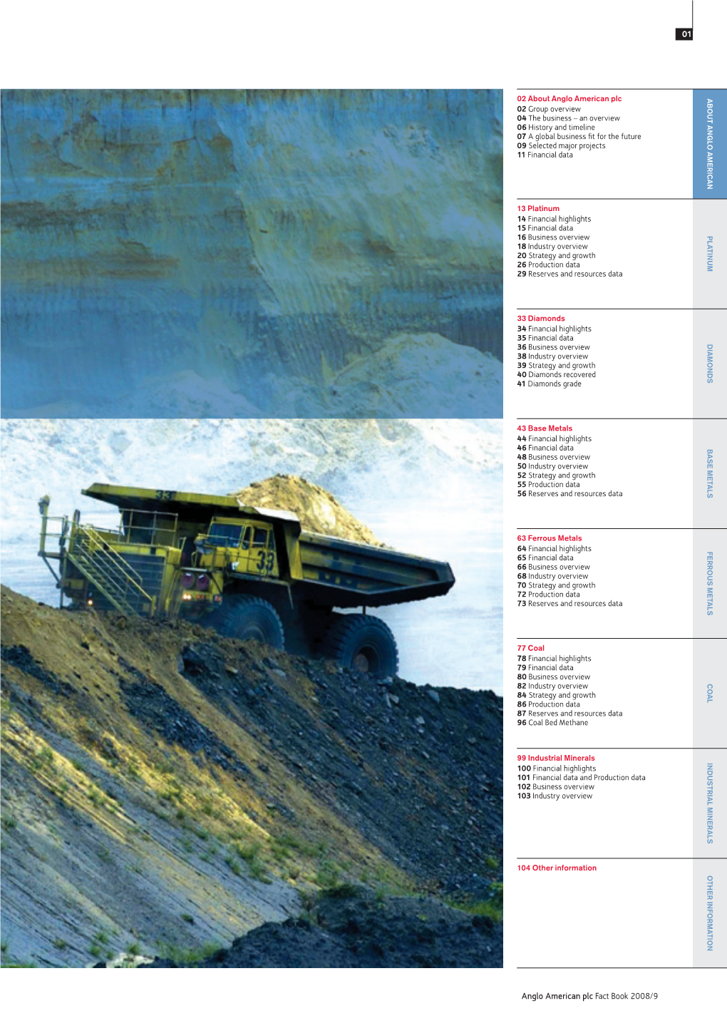 Anglo American Plc Fact Book 2008/9 01