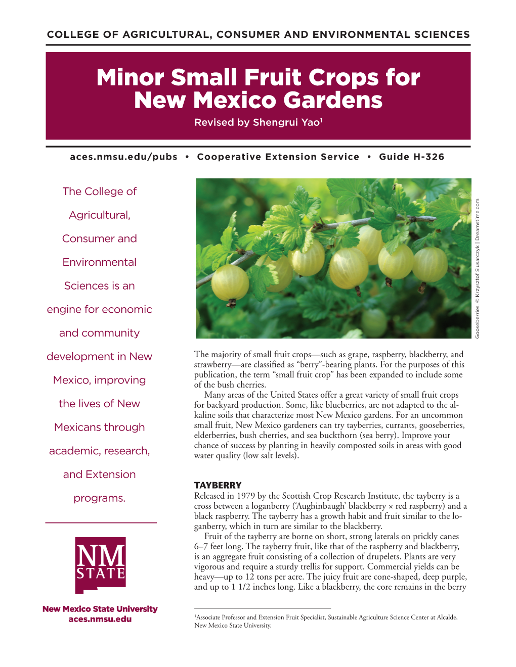 Minor Small Fruit Crops for New Mexico Gardens