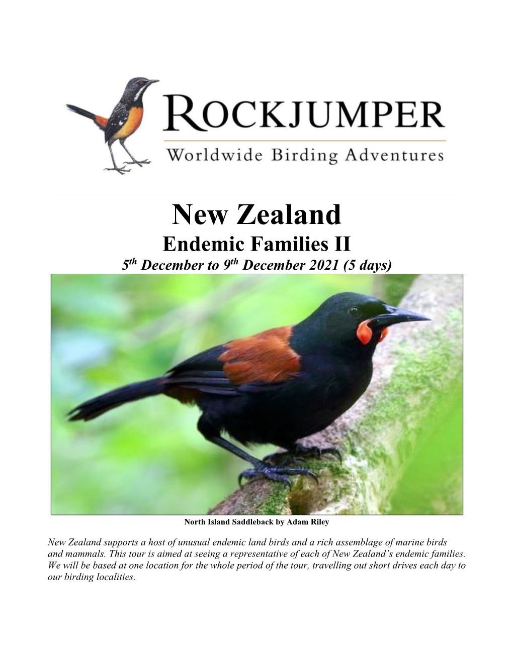New Zealand Endemic Families II 5Th December to 9Th December 2021 (5 Days)