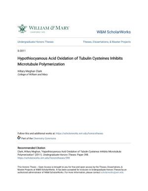 Hypothiocyanous Acid Oxidation of Tubulin Cysteines Inhibits Microtubule Polymerization