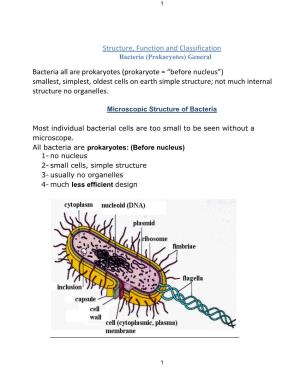 Structure, Function and Classification Bacteria All Are Prokaryotes