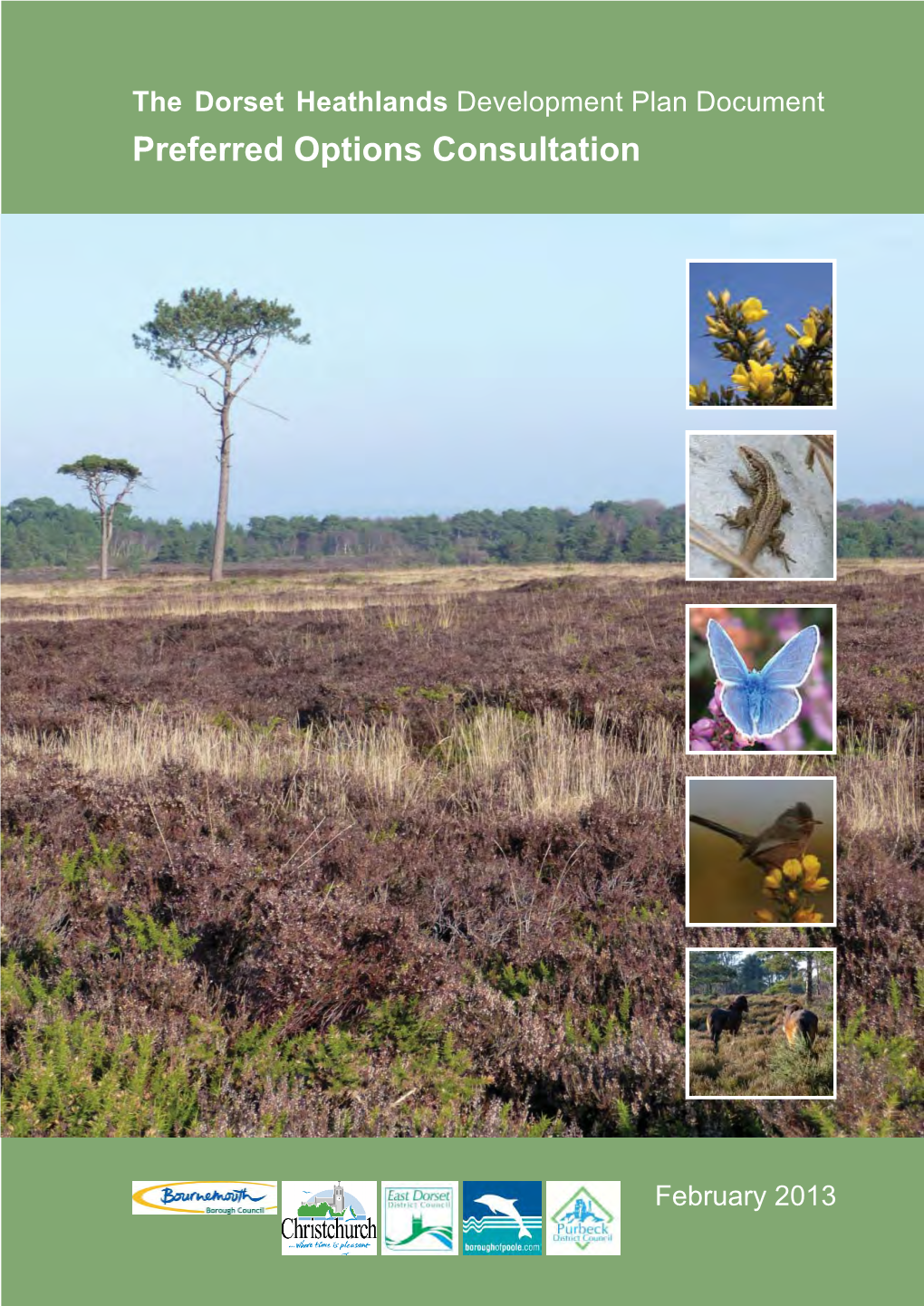 Dorset Heathland Joint Development Plan Document Will Provide the Necessary Cross Boundary Approach to Managing the Dorset Heaths