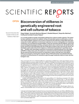 Bioconversion of Stilbenes in Genetically Engineered Root and Cell