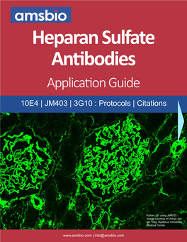 Heparan Sulfate Antibodies Application Guide