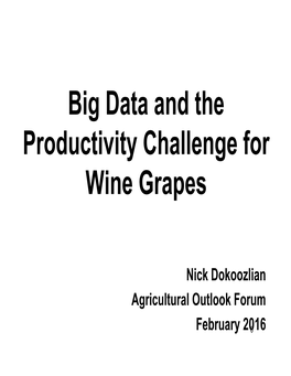 Big Data and the Productivity Challenge for Wine Grapes