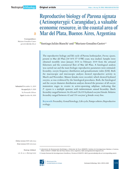 Reproductive Biology of Parona Signata (Actinopterygii: Carangidae), a Valuable Economic Resource, in the Coastal Area of Mar Del Plata, Buenos Aires, Argentina