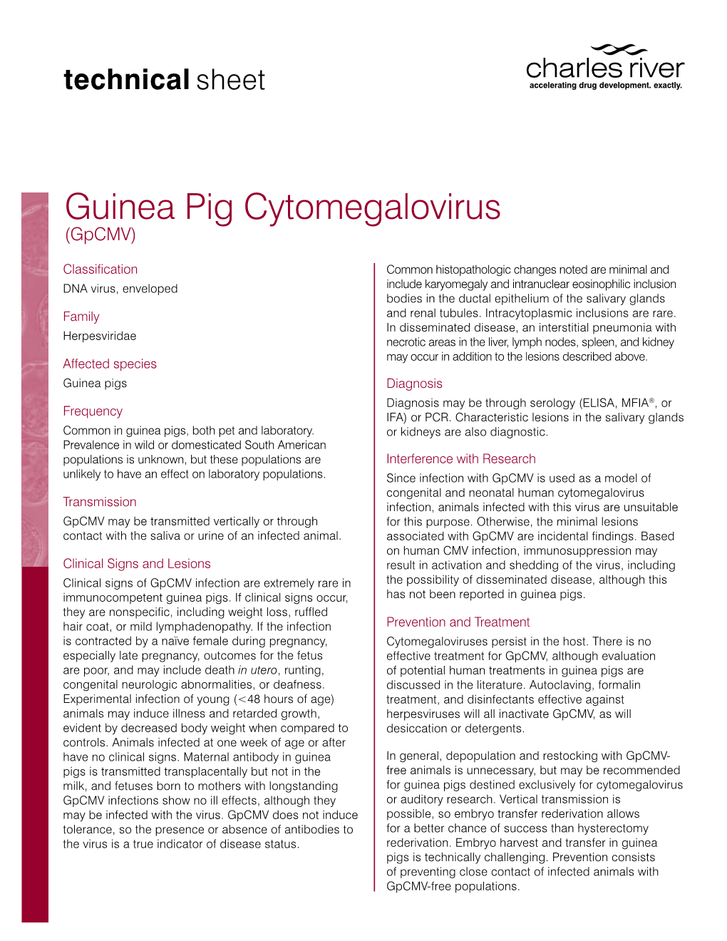 Guinea Pig Cytomegalovirus (Gpcmv)