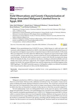 Field Observations and Genetic Characterization of Sheep-Associated Malignant Catarrhal Fever in Egypt, 2018