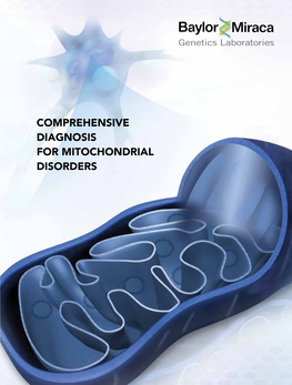 Comprehensive Diagnosis for Mitochondrial Disorders