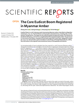 The Core Eudicot Boom Registered in Myanmar Amber Zhong-Jian Liu 1, Diying Huang 2, Chenyang Cai 2 & Xin Wang 3
