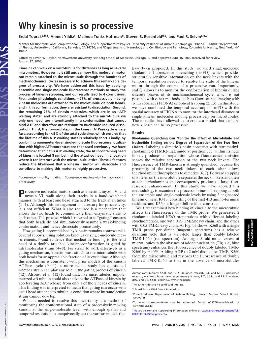 Why Kinesin Is So Processive