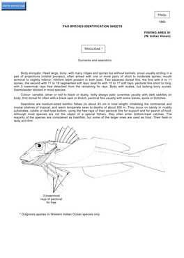 Trigl 1983 Fao Species Identification Sheets