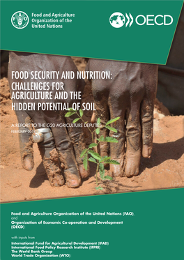 Food Security and Nutrition: Challenges for Agriculture and the Hidden Potential of Soil