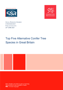 5 Alternative Conifer Species