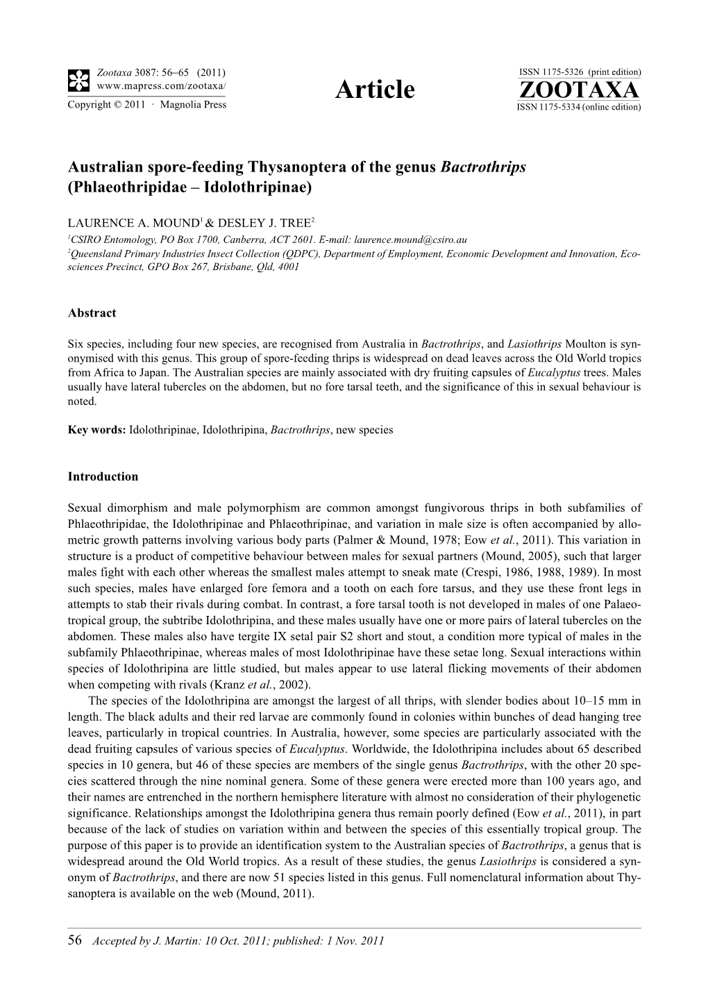 Australian Spore-Feeding Thysanoptera of the Genus Bactrothrips (Phlaeothripidae – Idolothripinae)