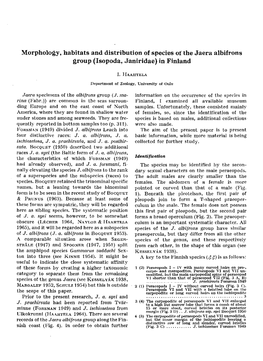 Morphology, Habitats and Distribution of Species of the Jaera Albifrons Group (Isopoda, Janiridae) in Finland